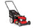 Craftsman M115 140cc Briggs & Stratton 550e Gas Powered High-Wheeled 3-in-1 21-Inch Push Walk-Behind Lawn Mower with Bagger