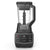 Ninja Smart Screen Blender with 1000-Watt Base, 4-Auto-iQ Programs, Touchscreen Display, Total Crushing Pitcher, (CT650), Black