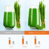 Juicer Machines, Homever Slow Masticating Juicer for Fruits and Vegetables, Quiet Motor, Reverse Function, Easy to Clean Hight Nutrient Cold Press Juicer Machine with Juice Cup & Brush, BPA-Free