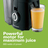 Hamilton Beach Juicer Machine, Big Mouth 3