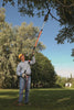 Remington RM1025SPS Ranger 8-Amp Electric 2-in-1 Pole Saw & Chainsaw with 10-Foot Telescoping Shaft and 10-Inch Bar for Tree Trimming and Pruning